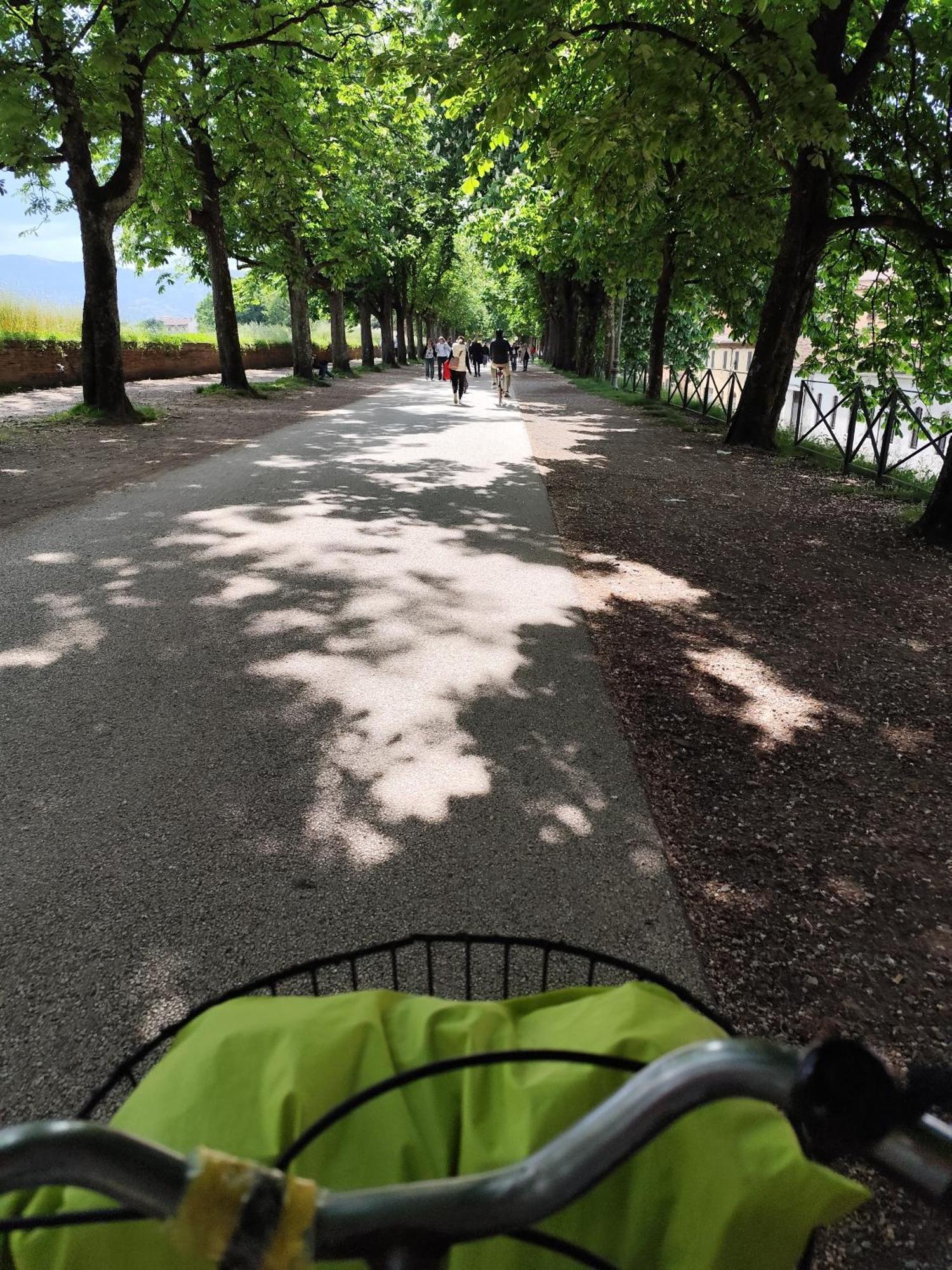 Casa Rosina + Box Per Auto 2 Bici 1,5Km Dalle Mura Лукка Екстер'єр фото